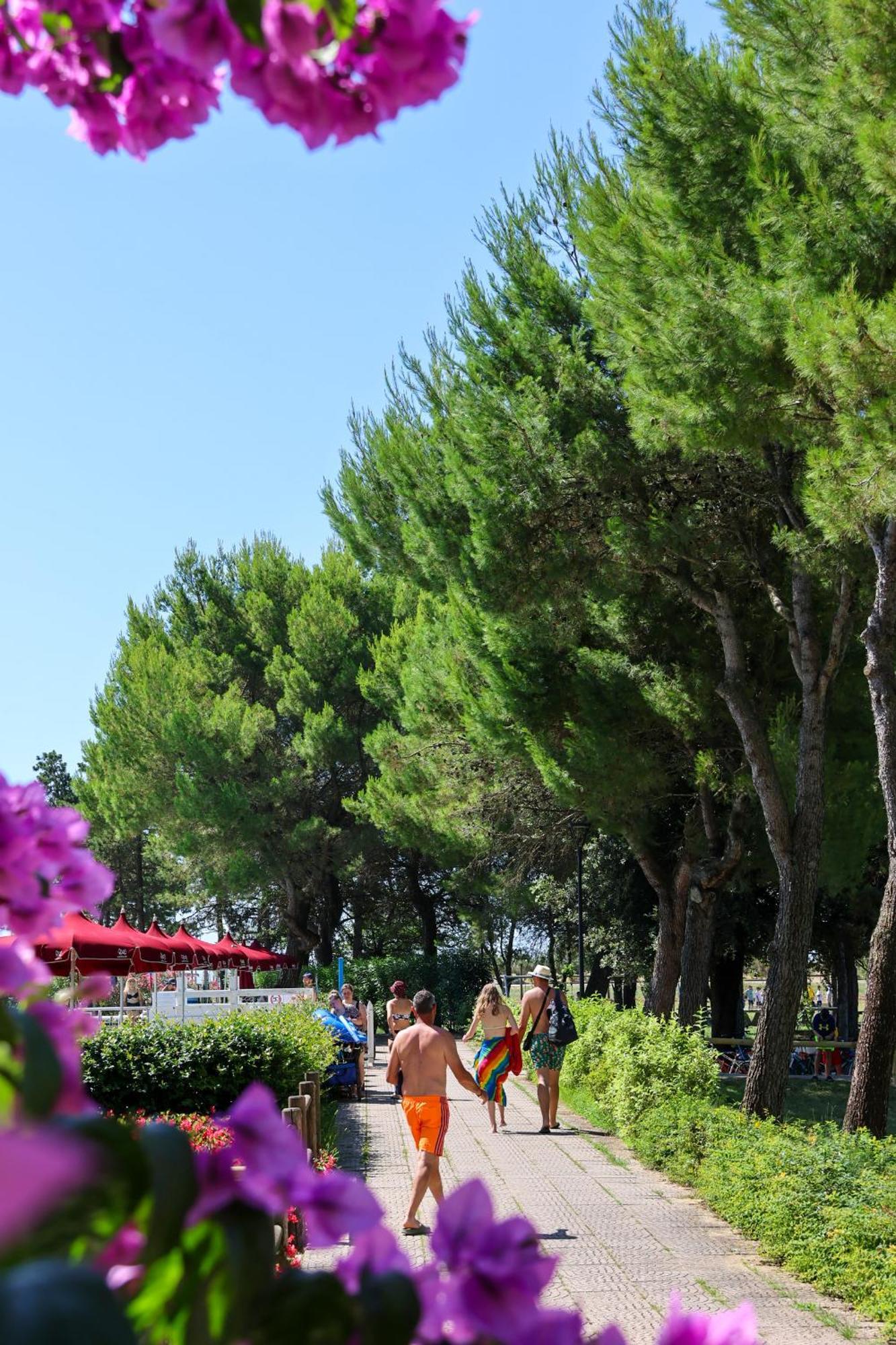 Il Tridente Hotel Bibione Exteriér fotografie