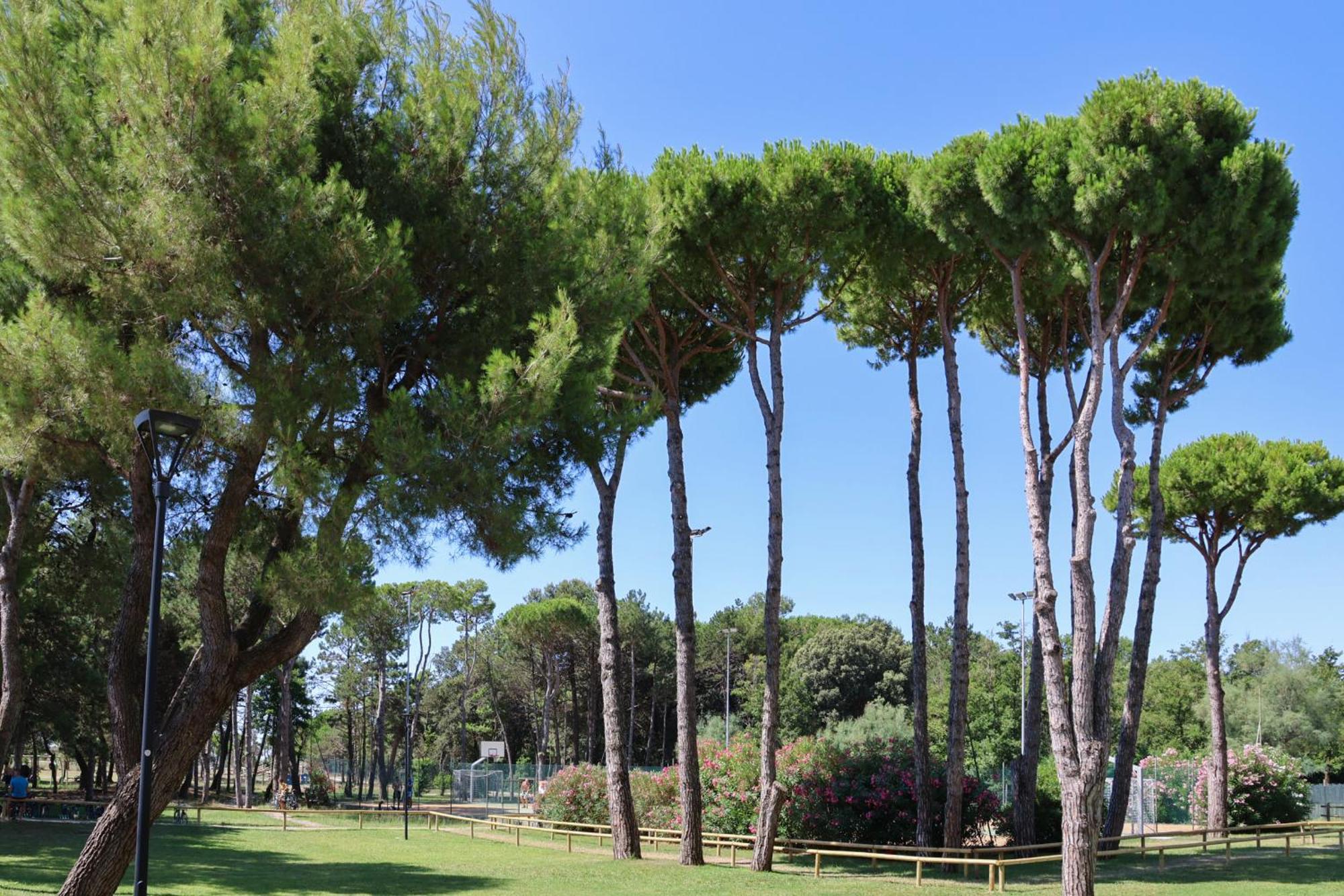 Il Tridente Hotel Bibione Exteriér fotografie